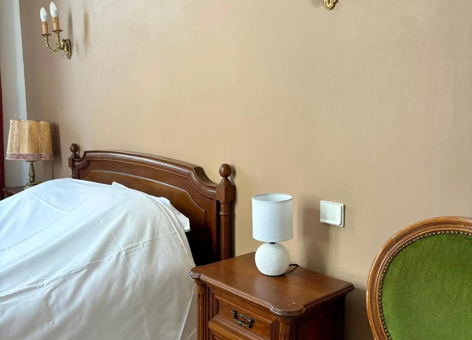 Hotel Albert 1Er Albertville